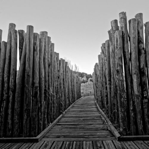 Allée de bois