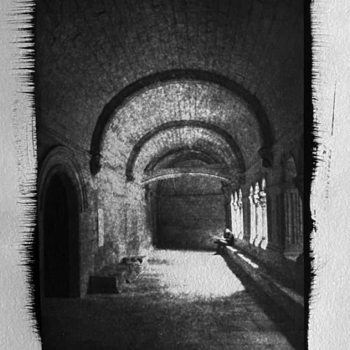 Le lecteur du cloître